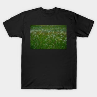 Swiss Field T-Shirt